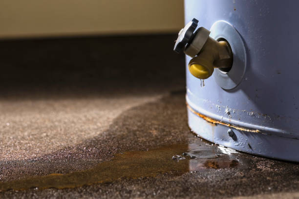 Water damage restoration mold remediation in Haverhill, FL
