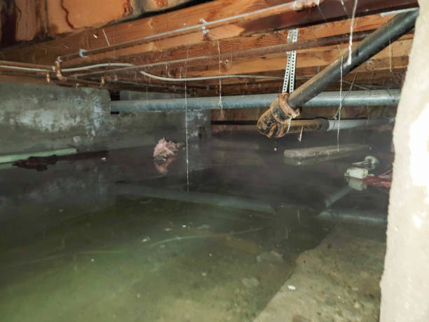  Haverhill, FL Water damage restoration Pros