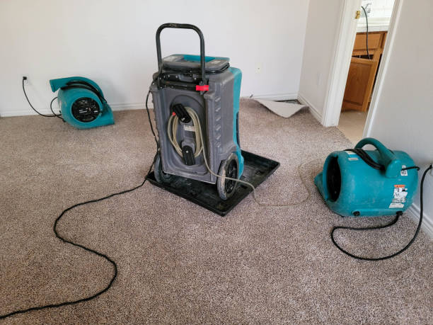 Best Water damage cleanup near me  in Haverhill, FL
