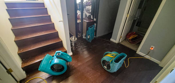 Best Water damage restoration near me  in Haverhill, FL