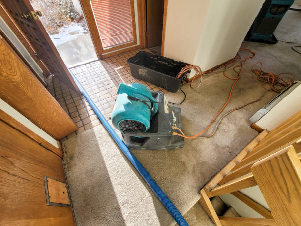Best Water damage repair service  in Haverhill, FL