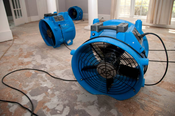 Best Sewage cleanup and water damage restoration  in Haverhill, FL