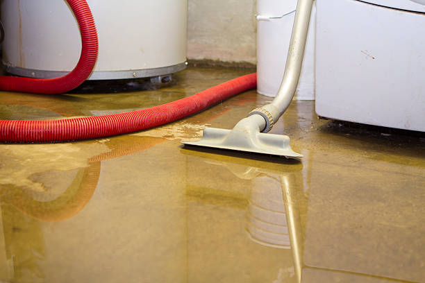 Best Carpet water damage restoration  in Haverhill, FL