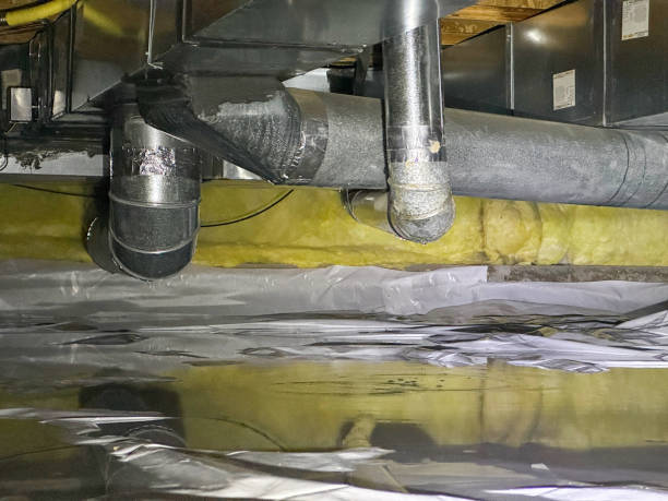 Best Ceiling water damage repair  in Haverhill, FL