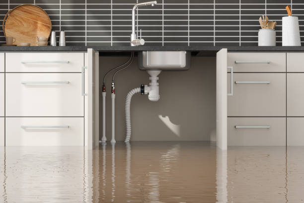 Best Flood damage cleanup  in Haverhill, FL