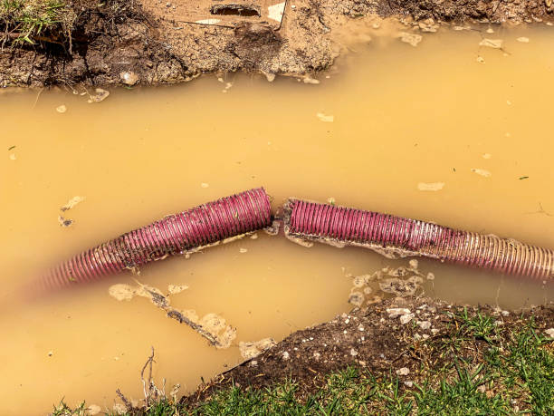 Best 24-hour water damage restoration  in Haverhill, FL
