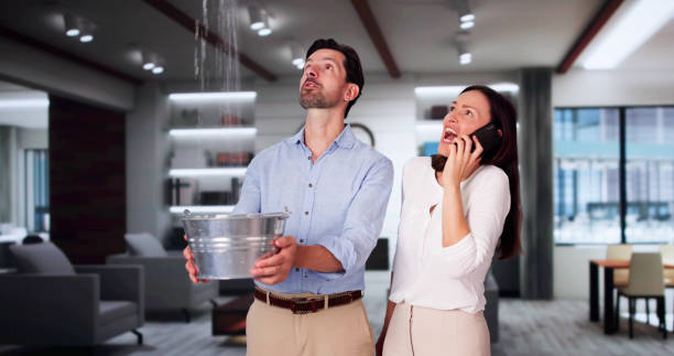 Best Professional water damage repair  in Haverhill, FL