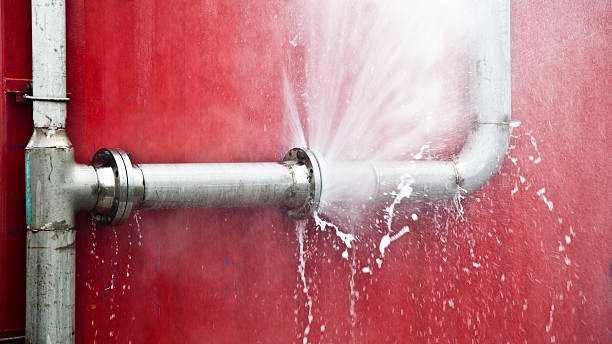Best Basement water damage restoration  in Haverhill, FL